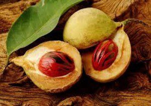 Grenada launches spice replanting program