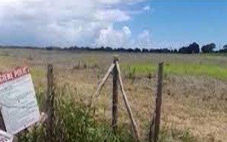 Jamaican Government says agricultural lands will not be used for housing