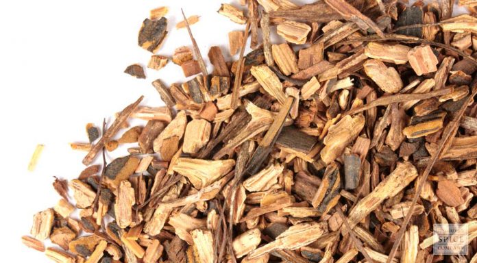 Three Popular Herbs in Jamaica