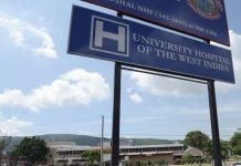 UHWI in Kingston owes over J$40 billion in unpaid taxes and fees Jamaican children get free access to healthcare amid increase in viral illness