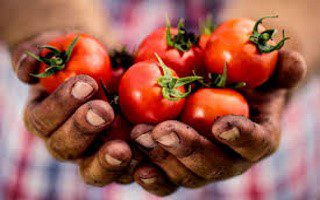 Barbados local businesses urged to pursue lower costs agricultural inputs