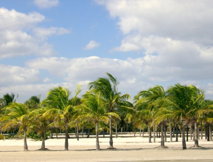 Miami-Dade’s Crandon Park marks its 75th jubilee with a two-day eco-festival