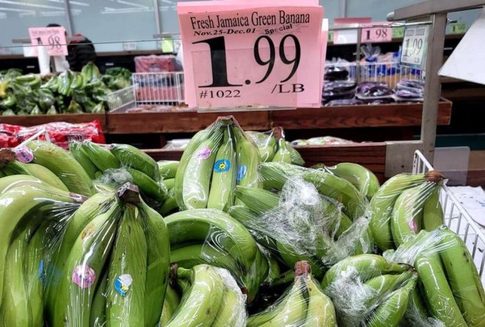 JP Farms to take legal action against banana fraudsters in Canada