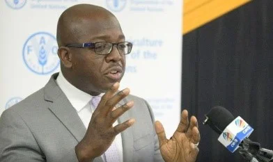 Jamaica and Cuba discuss increased agricultural partnership