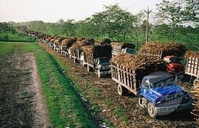 Guyana Sugar workers to benefit from salary increase