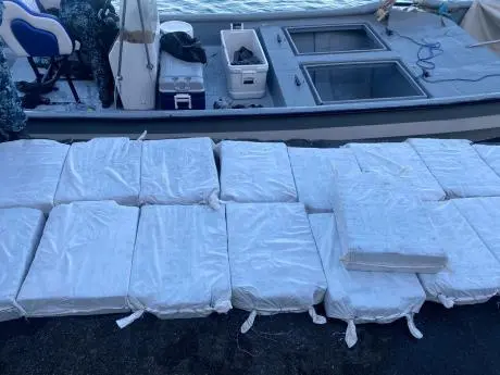 jdf JDF reports $1.1 billion cocaine bust
