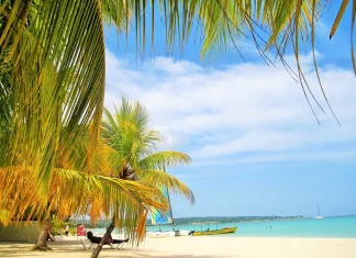 The Bahamas achieves record-breaking 8 million tourist arrivals Tourism US ELECTION
