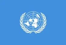 Haiti sees alarming rise in gender-based violence, UN says UN Security Council urged to speed up action on Haiti