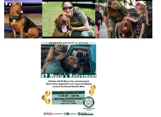 BSO’S bloodhound Macie is retiring in style