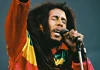 Reggae Shows to Attend in the USA Bob Marley