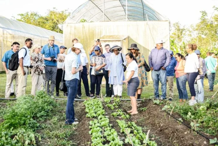 World Bank Group Executive Directors have first-hand look at development challenges in Belize