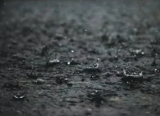 Grenada’s government launches assessment after heavy rains rain