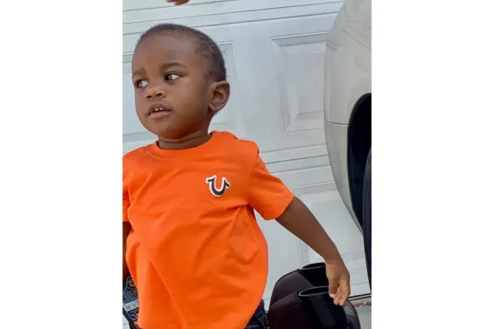 Body of Florida toddler found in alligator jaws after search