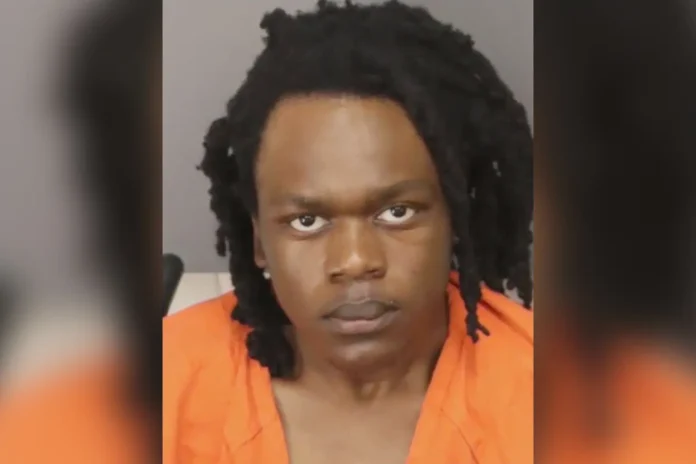 Florida mother stabbed more than 100 times before son’s body found in alligator’s mouth