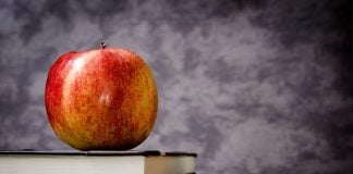 Florida House defines “materials harmful to minors” in ongoing library book debate teacher