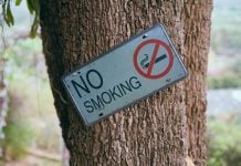 Saint Lucia launches national campaign to curb smoking and rising health risks No smoking: Miami bans tobacco, weed, E-Cigs at parks and beaches