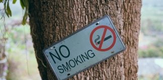 Saint Lucia launches national campaign to curb smoking and rising health risks No smoking: Miami bans tobacco, weed, E-Cigs at parks and beaches