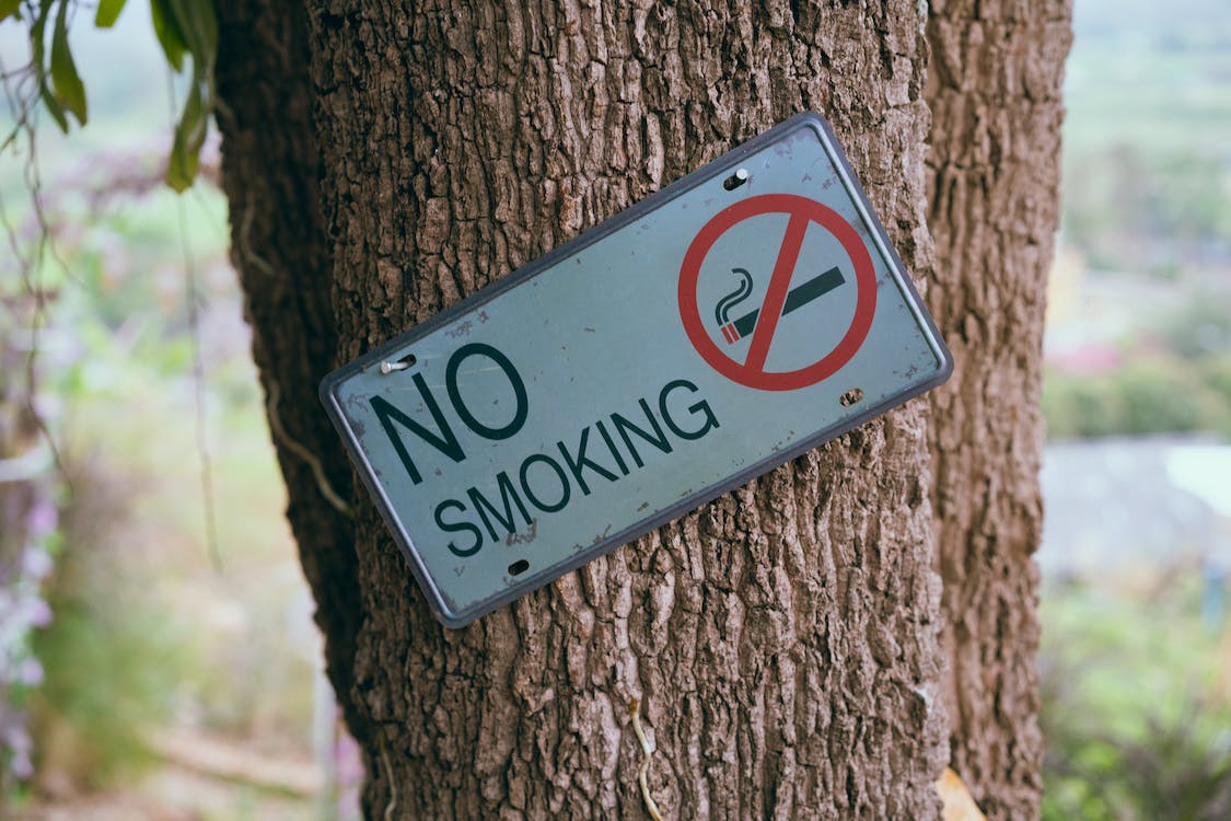 Saint Lucia launches national campaign to curb smoking and rising health risks