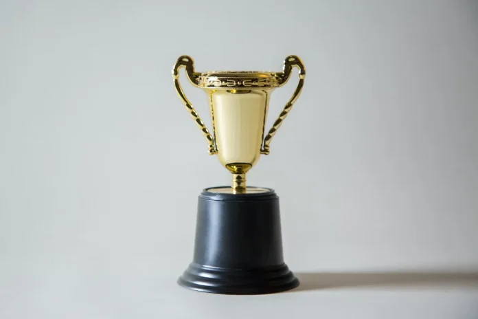 Palm Beach County earns national best in category achievement award for Level Up Mentoring Program