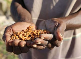 UN report reveals persistent hunger challenges in Latin America and the Caribbean