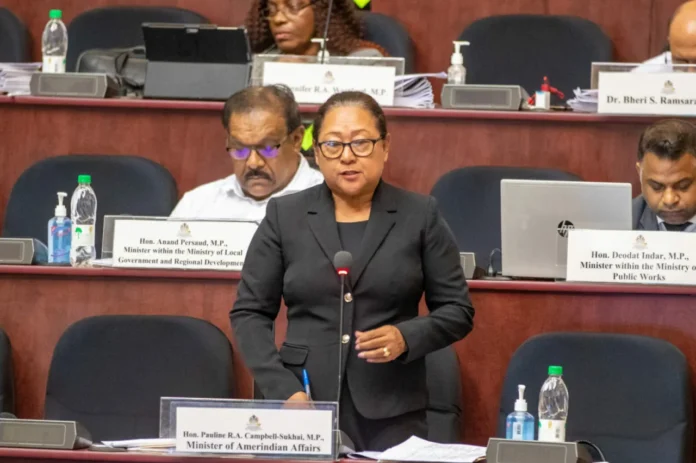 Amerindian Affairs Minister Pauline Sukhai speaking at national assembly
