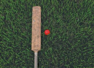 Motie and Hosein continue to climb ICC T20I bowling rankings cricket bat