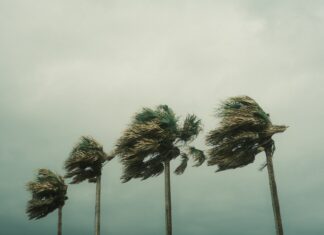 Bermuda could face tropical storm conditions from Hurricane Tammy this weekend hurricane
