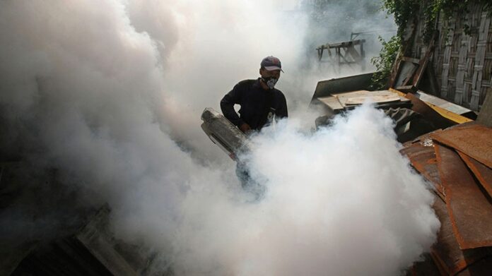 dengue fogging