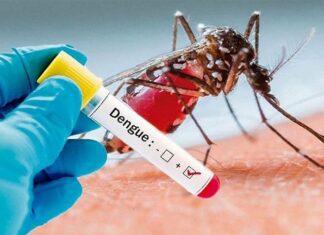 Jamaica surpasses 1000 confirmed cases of dengue US Virgin Islands reports increase in dengue infections