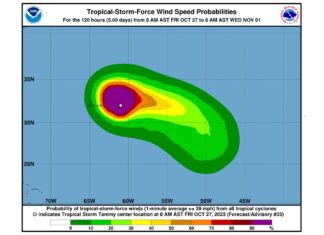 Tammy redevelops into tropical storm