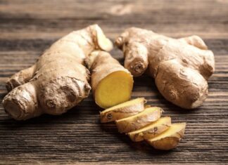 Unlocking Jamaica’s spice potential: Ginger cultivation on the rise