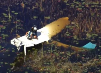 Small aircraft plummets in Everglades in southwest Broward