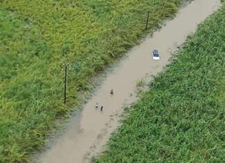 JDF rescues stranded residents in St Thomas amid severe flooding Flood in St Thomas