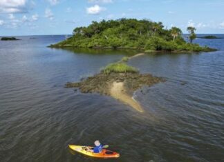 Florida businessman purchased paradise island with stolen COVID-19 relief funds Sweetheart Island