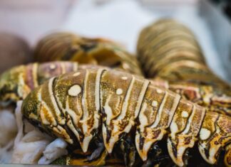 Jamaica’s Ministry of Agriculture denies issuing lobster import permits lobster