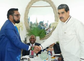 Guyana not seeking war against Venezuela, says President Ali Guyana Venezuela presidents