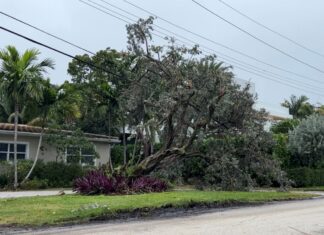 EF-0 tornado leaves trail of minor damage in sections of Fort Lauderdale