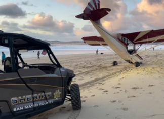 Miami man arrested for allegedly stealing aircraft and crashing on California Beach