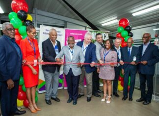 InterCaribbean Airways launches inaugural flight from Barbados to Jamaica
