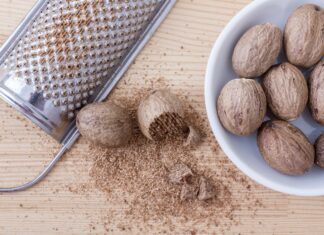Grenada’s PM proposes changes to nutmeg and chocolate exports