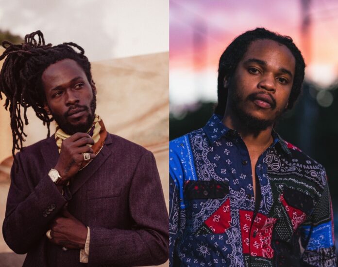 Livity Haven festival