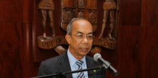 Jamaica plans major shift in firearms law to ease penalties for fake guns Horace Chang Jamaica