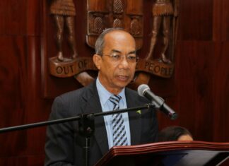 Jamaica plans major shift in firearms law to ease penalties for fake guns Horace Chang Jamaica