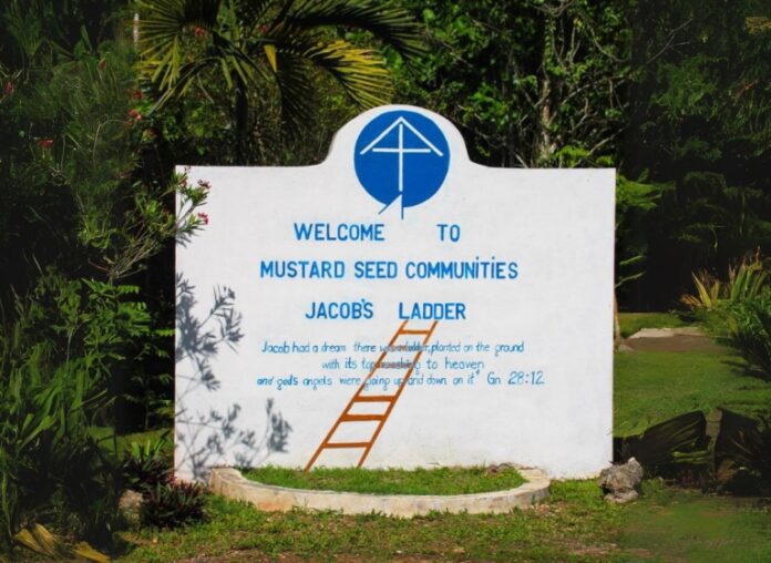 Haitian caregivers mustard seed communities