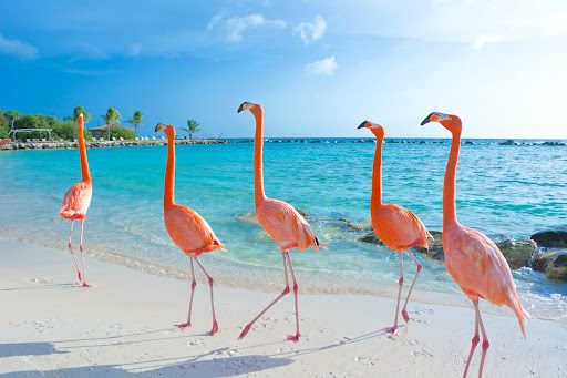 ABC islands Aruba
