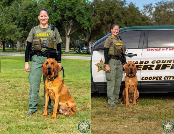 BSO Deputy Kelli Covet & K-9 Anthem named Jimmy Ryce K-9 trailing team of the year