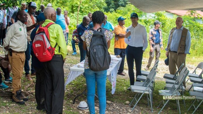 FAO warns of 'alarming' food insecurity in Haiti, calls for funding