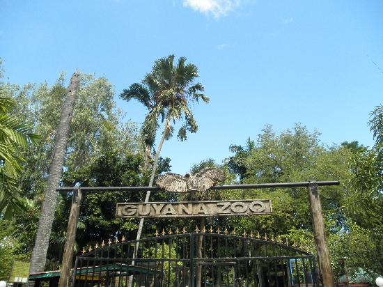 Guyana seeks private investment to develop safari-style zoo