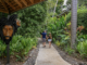 Immersive nature experiences await at Sunset at the Palms in Negril Credit: Sunset at the Palms