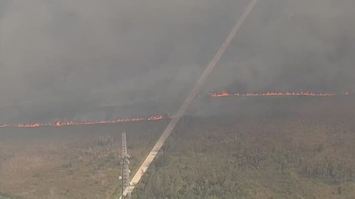 Massive brush fire disrupts travel in South Florida